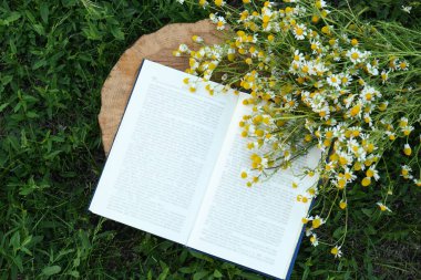 Açılmış kitap ve papatyalar tahtadan bir kütük üzerinde, dümdüz uzanmış