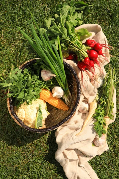 Verschiedene Schmackhafte Gemüse Und Kräuter Auf Grünem Gras Freien Von — Stockfoto
