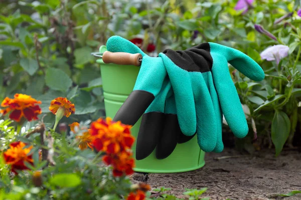 Green bucket with gardening gloves near flowers outdoors
