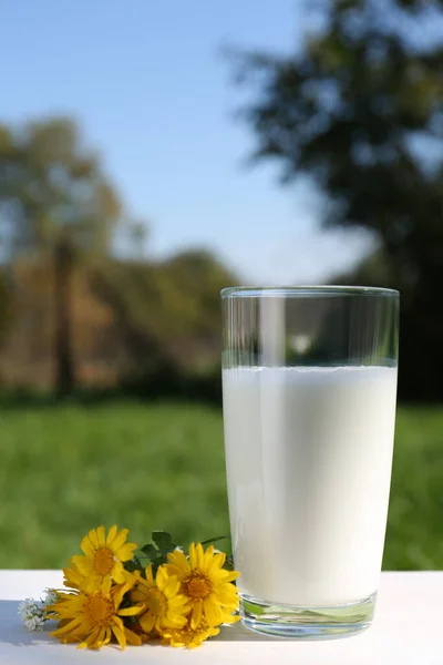 屋外の白い木製のテーブルの上に新鮮な牛乳や花のガラス — ストック写真
