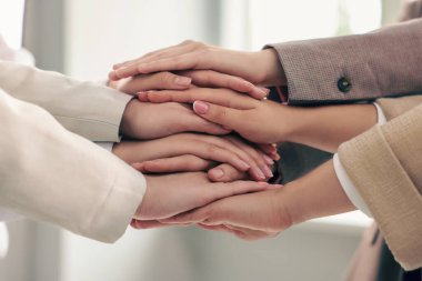 Group of people holding hands together indoors, closeup. Unity concept
