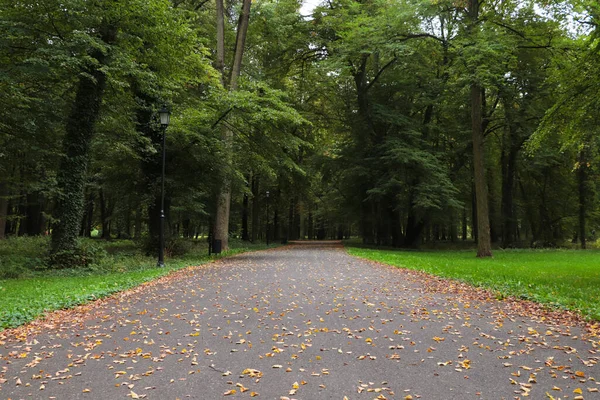 Piękny Publiczny Park Miejski Wieloma Drzewami Jesienny Dzień — Zdjęcie stockowe