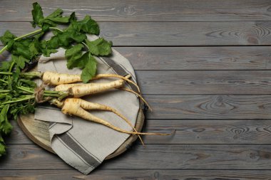 Gri ahşap masada taze, lezzetli yaban havucu, üst manzara. Metin için boşluk