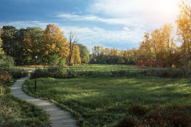 Güneşli bir günde güzel ağaçlı ve patikalı bir park manzarası. Sonbahar mevsimi