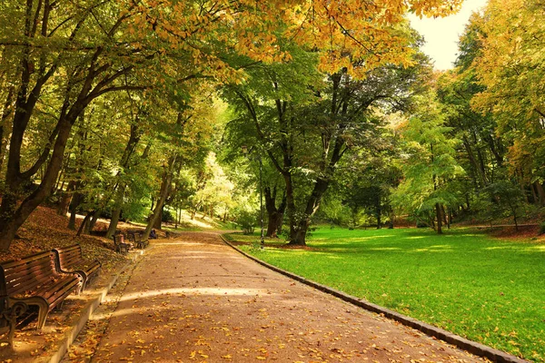 Ścieżka Ławki Opadłe Liście Drzewa Pięknym Parku Jesienią — Zdjęcie stockowe