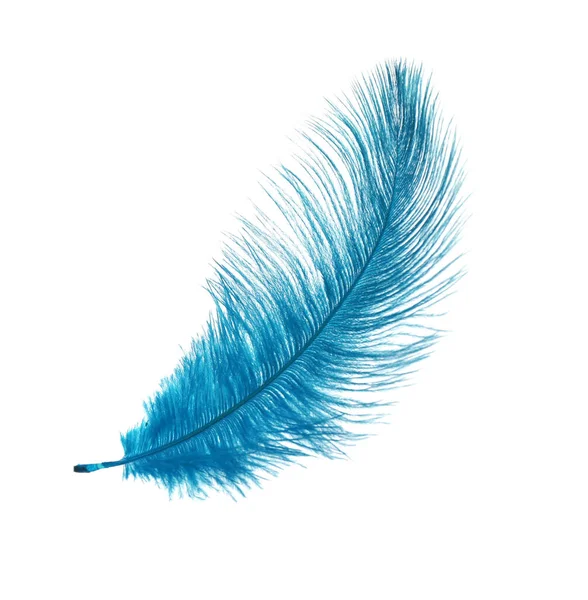 Beautiful Delicate Light Blue Feather Isolated White — Stock Photo, Image