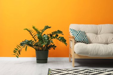 Şık bej kanepe, desenli halı ve turuncu duvarın yanında güzel bir çiçek. İç tasarım