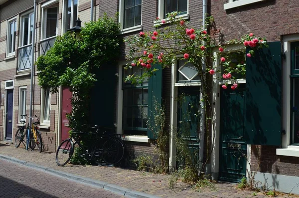 Rue Ville Avec Beaux Bâtiments Vélos Plantes Fleurs — Photo