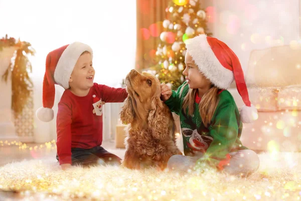 クリスマスのために装飾された部屋に英語のコッカー スパニエルとかわいい子供たち 幻想的な雰囲気 — ストック写真