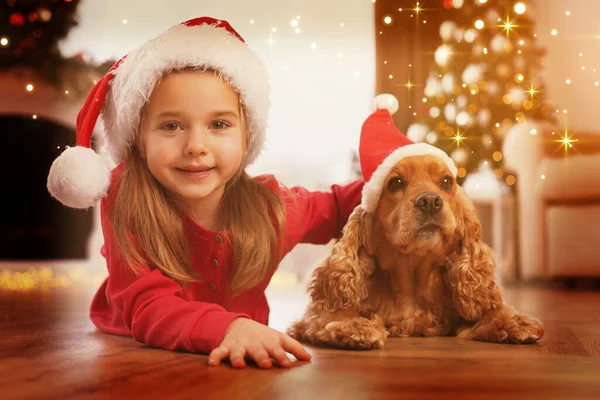 英語のコッカースパニエルとかわいい女の子はクリスマスのために飾られた部屋にあります 幻想的な雰囲気 — ストック写真