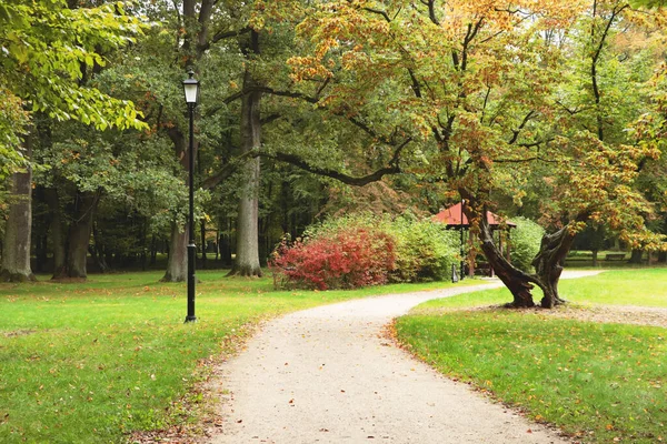 Ścieżka Pięknym Parku Miejskim Jesienny Dzień — Zdjęcie stockowe