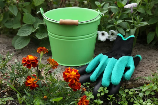 Gardening gloves and green bucket near flowers outdoors