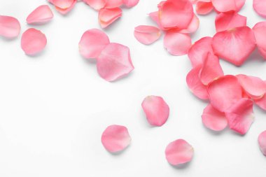 Beyaz arka planda güzel pembe gül yaprakları, üst manzara.