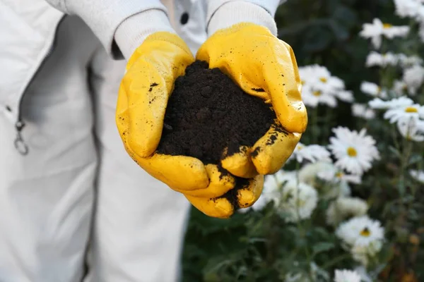 Woman in gardening gloves holding pile of soil outdoors, closeup