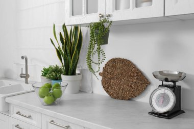 Şık bir tartı, mutfakta beyaz tezgahta elmalar ve ev bitkileri. İç tasarım