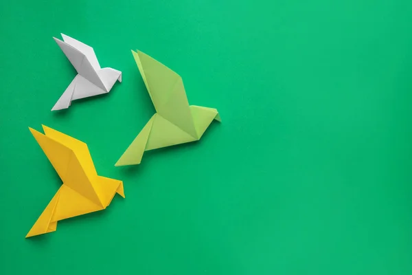 Beautiful colorful origami birds on green background, flat lay. Space for text
