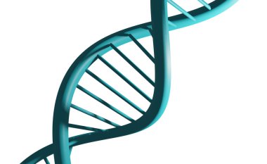 Beyaz arka planda DNA yapısı. Görüntü