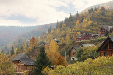 Sonbahar günü orman ve dağ köyünün güzel manzarası