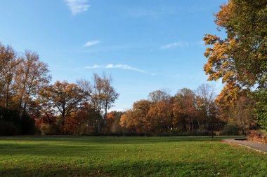 Güneşli bir günde güzel ağaçların ve yeşil çimlerin olduğu resim gibi bir park manzarası. Sonbahar mevsimi