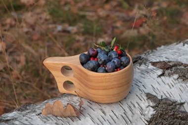 Ormanda taze olgun yaban mersini ve yaban mersini dolu tahta bardak.