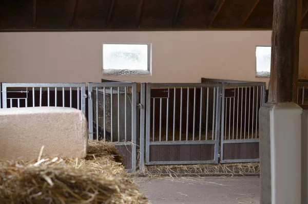 Empty barn with metal cages and hay for animals indoors