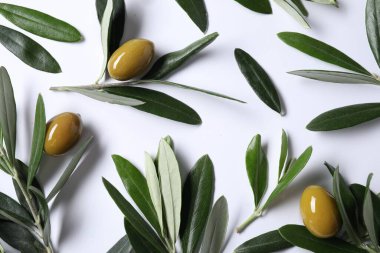 Taze yeşil zeytin ve beyaz arka planda yapraklar, düz uzanış