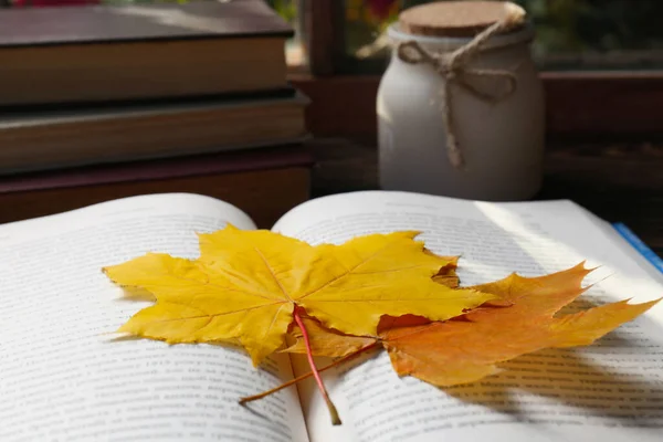 아름다운 나뭇잎들 책갈피처럼 접히는 — 스톡 사진