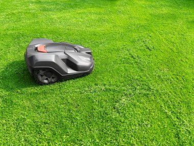 Modern robot lawn mower on green grass in garden