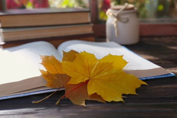 식탁에 책갈피로서의 과아름다운 잎사귀들 밀봉하는 — 스톡 사진