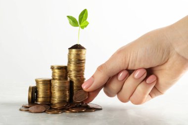 Kadın, yeşil bitkiyle birlikte beyaz mermer masaya para yığıyor. Yakın plan. Yatırım kavramı