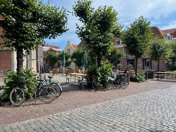Rue Ville Avec Beaux Bâtiments Plantes Vélos — Photo