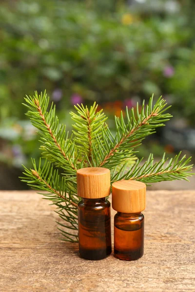 Ahşap masa üzerinde çam ağaçları ve kozalaklı ağaç dalları.