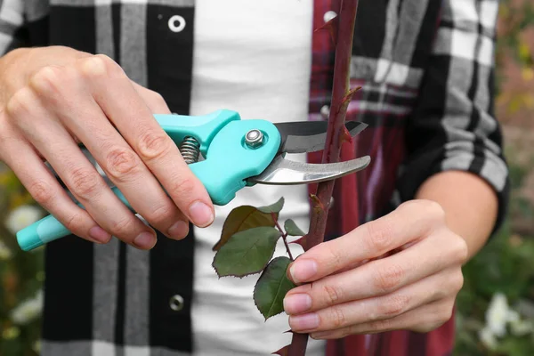 Bahçedeki mezhepçiler tarafından çivilenmiş budama dalları olan kadın, yakın plan.