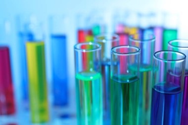 Bulanık arka planda renkli sıvıları olan birçok test tüpü, yakın plan