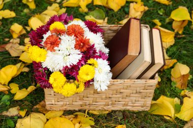 İçinde güzel kasımpatı çiçekleri ve açık yeşil çimenler üzerine kitaplar olan bir sepet.