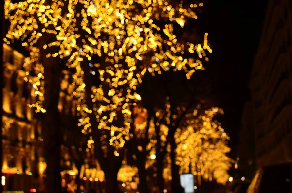 Blurred view of street with beautiful lights on trees at night. Bokeh effect