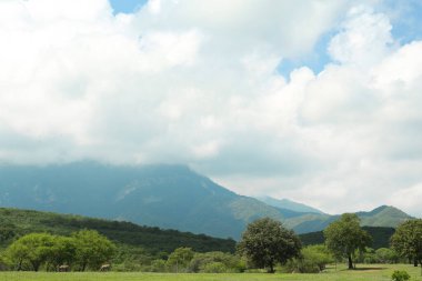 Dağların ve yeşil çayır manzarası