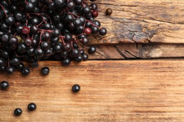 Mürver (Sambucus) ahşap masa üzerinde, düz yatıyordu. Metin için boşluk