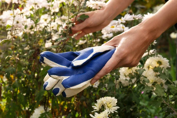 Woman holding protective gloves near flowers in garden, closeup