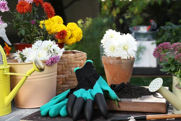 Gardening gloves and different flowers on table outdoors