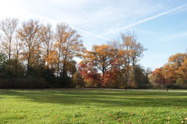 Güneşli bir günde güzel ağaçların ve yeşil çimlerin olduğu resim gibi bir park manzarası. Sonbahar mevsimi