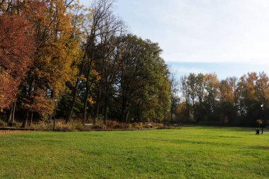Güneşli bir günde güzel ağaçların ve yeşil çimlerin olduğu resim gibi bir park manzarası. Sonbahar mevsimi