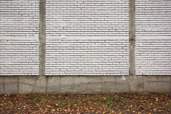 Beautiful wall made of white bricks and ground with fallen dry leaves