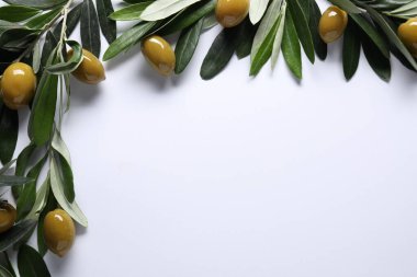 Taze yeşil zeytin ve beyaz arka planda yapraklar, düz. Metin için boşluk