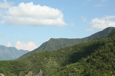 Büyük dağların ve bulutlu gökyüzünün altındaki ağaçların resimli görüntüsü