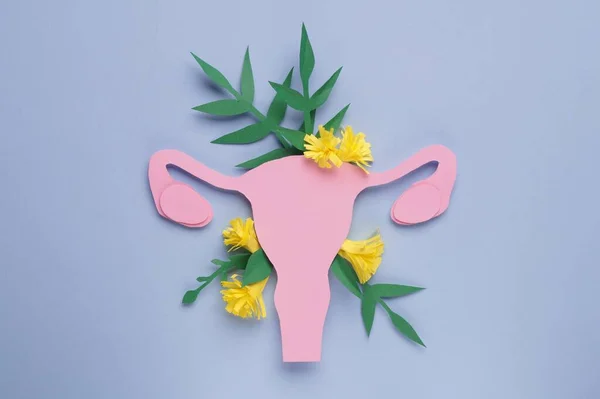 Kadın Sağlığı Kağıt Uterus Açık Mavi Arkaplanda Çiçekler Düz Yatıyordu — Stok fotoğraf