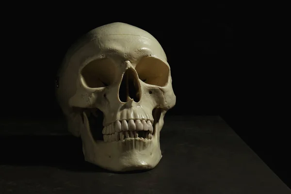 Human skull on grey table against black background, space for text