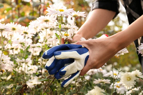 Woman holding protective gloves near flowers in garden, closeup