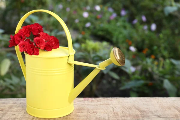 Beautiful roses in watering can on wooden table outdoors, space for text