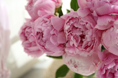 Güzel pembe şakayıkların yakın görüntüsü.